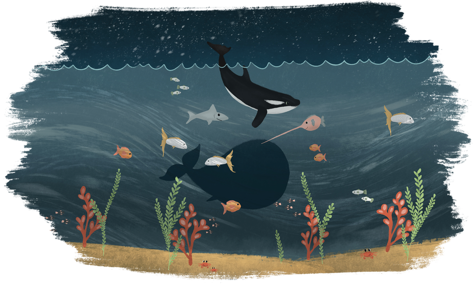 Ocean at night illustration, with an orca, whale and fish